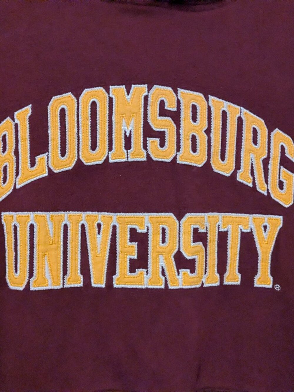 Bloomsburg University unisex pullover hoodie size medium - Picture 3 of 8